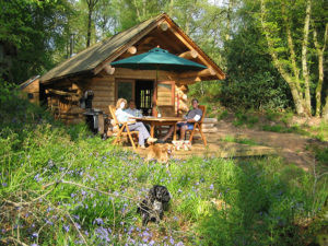 Dog friendly log cabins