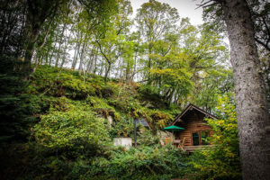 secluded-shankwood-log-cabins